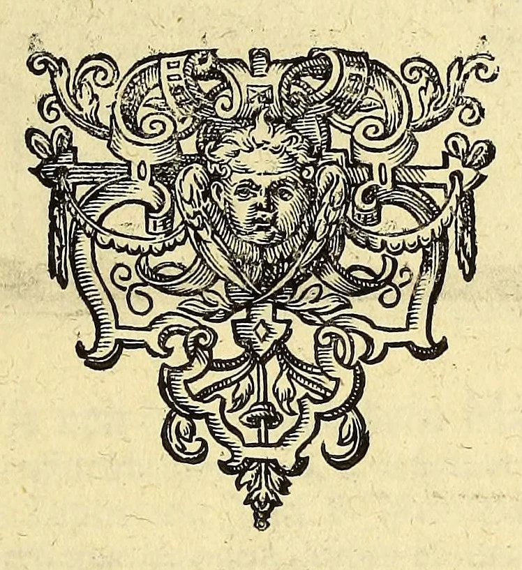 An illustration from Fünfter Theil der Orientalischen Indien, eygentlicher Bericht vnd warhafftige Beschreibung der gantzen volkommenen Reyse oder Schiffart, so die Holländer mit acht Schiffen in die Orientalische Indien, sonderlich aber in die Javanische vnd Molukische Inseln, als Bantam, Banda, vnd Ternate, &c. gethan haben, welche von Amsterdam abgefahren im Jahr 1598. vnd zum Theil Anno 1599. zum Theil aber in Jüngst abgelauffenen 1600. Jahr, : mit grossen Reichthumb von Pfeffer Muscaten, Regelein, vnd anderer köstlichen Würtz, wider anheym gelanget, darinn fleissig beschrieben vnd angezeigt, was ihnen auff der gantzen Reyse Denckwürdiges begegnet vnd zuhanden gangen., 1601, leaf 83