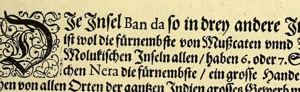 An illustration from Fünfter Theil der Orientalischen Indien, eygentlicher Bericht vnd warhafftige Beschreibung der gantzen volkommenen Reyse oder Schiffart, so die Holländer mit acht Schiffen in die Orientalische Indien, sonderlich aber in die Javanische vnd Molukische Inseln, als Bantam, Banda, vnd Ternate, &c. gethan haben, welche von Amsterdam abgefahren im Jahr 1598. vnd zum Theil Anno 1599. zum Theil aber in Jüngst abgelauffenen 1600. Jahr, : mit grossen Reichthumb von Pfeffer Muscaten, Regelein, vnd anderer köstlichen Würtz, wider anheym gelanget, darinn fleissig beschrieben vnd angezeigt, was ihnen auff der gantzen Reyse Denckwürdiges begegnet vnd zuhanden gangen., 1601, leaf 95