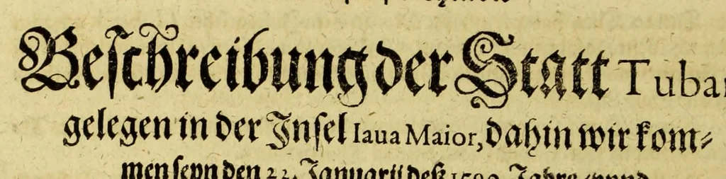 An illustration from Fünfter Theil der Orientalischen Indien, eygentlicher Bericht vnd warhafftige Beschreibung der gantzen volkommenen Reyse oder Schiffahrt, so die Holländer mit 8. Schiffen in die Orientalische Indien, sond[er]lich aber in die Javanische vnd Molukische Inseln, als Bantam, Banda, vnnd Ternate, &c. gethan haben, welche von Amsterdam abgefahren im Jahr 1598. vnnd zum Theil Anno 1599. zum Theil aber in Jüngst abgelauffenen 1600. Jahr, : mit grossen Reichthumb von Pfeffer, Muscaten, Regelein, vnd anderer köstlichen Würtz, wid anheym gelanget, darinn fleissig beschrieben vnd angezeigt, w[a]z ihnen auff der gantzen Reyse Denckwürdiges begegnet vnd zuhanden gangen., 1623, leaf 24