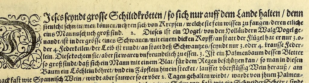 An illustration from Fünfter Theil der Orientalischen Indien, eygentlicher Bericht vnd warhafftige Beschreibung der gantzen volkommenen Reyse oder Schiffahrt, so die Holländer mit 8. Schiffen in die Orientalische Indien, sond[er]lich aber in die Javanische vnd Molukische Inseln, als Bantam, Banda, vnnd Ternate, &c. gethan haben, welche von Amsterdam abgefahren im Jahr 1598. vnnd zum Theil Anno 1599. zum Theil aber in Jüngst abgelauffenen 1600. Jahr, : mit grossen Reichthumb von Pfeffer, Muscaten, Regelein, vnd anderer köstlichen Würtz, wid anheym gelanget, darinn fleissig beschrieben vnd angezeigt, w[a]z ihnen auff der gantzen Reyse Denckwürdiges begegnet vnd zuhanden gangen., 1623, leaf 69