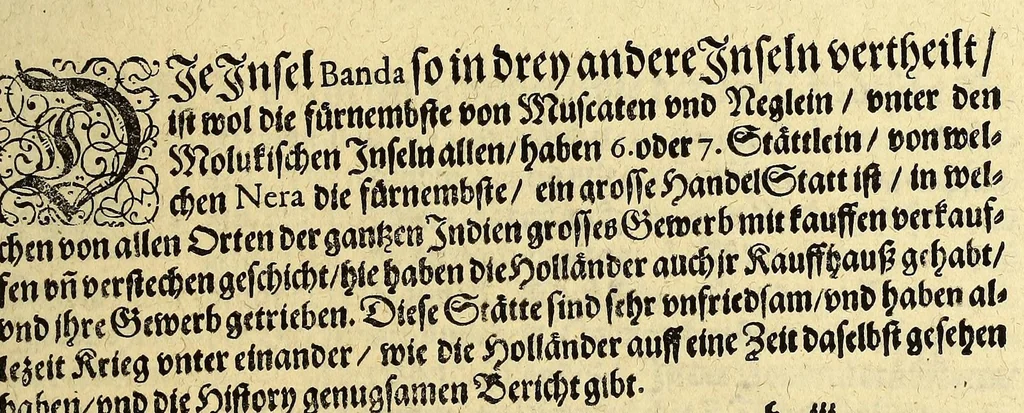 An illustration from Fünfter Theil der Orientalischen Indien, eygentlicher Bericht vnd warhafftige Beschreibung der gantzen volkommenen Reyse oder Schiffahrt, so die Holländer mit 8. Schiffen in die Orientalische Indien, sond[er]lich aber in die Javanische vnd Molukische Inseln, als Bantam, Banda, vnnd Ternate, &c. gethan haben, welche von Amsterdam abgefahren im Jahr 1598. vnnd zum Theil Anno 1599. zum Theil aber in Jüngst abgelauffenen 1600. Jahr, : mit grossen Reichthumb von Pfeffer, Muscaten, Regelein, vnd anderer köstlichen Würtz, wid anheym gelanget, darinn fleissig beschrieben vnd angezeigt, w[a]z ihnen auff der gantzen Reyse Denckwürdiges begegnet vnd zuhanden gangen., 1623, leaf 77