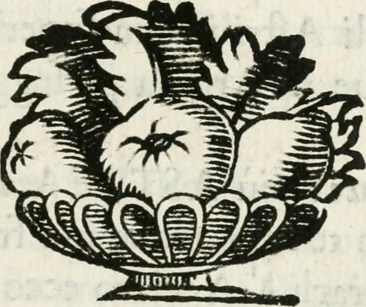 An illustration from Fochi giuliui d' Apollo ad astrea esaltata per lo secondo ingresso al gonfalonierato di giustitia dell' illustrissimo signor co. Girolamo Bentivogli, 1677, leaf 20