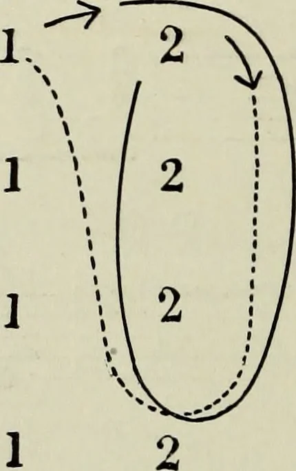 An illustration from Folk dances and games, 1909, leaf 63