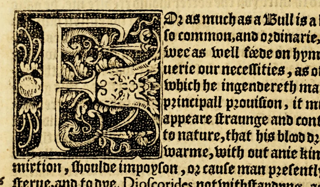 An illustration from The foreste or Collection of histories, no lesse profitable, then pleasant and necessarie,, 1571, leaf 170