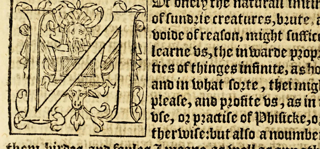 An illustration from The foreste or Collection of histories, no lesse profitable, then pleasant and necessarie,, 1571, leaf 230