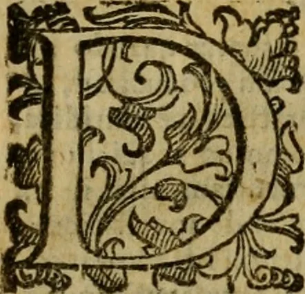 An illustration from Formularium variarum commissionum articulorum, exceptionum, interrogatoriorum, & petitionum sententiarum, & appellationum : cui adiectus est tractatus de deuolutione causarum, ac ordinis iudiciarij : item, practica signaturae iustitiae, circa commissiones causarum quae in Romana Curia committuntur, 1602, leaf 16