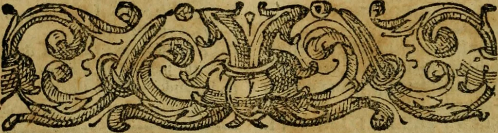 An illustration from Formularium variarum commissionum articulorum, exceptionum, interrogatoriorum, & petitionum sententiarum, & appellationum : cui adiectus est tractatus de deuolutione causarum, ac ordinis iudiciarij : item, practica signaturae iustitiae, circa commissiones causarum quae in Romana Curia committuntur, 1602, leaf 303