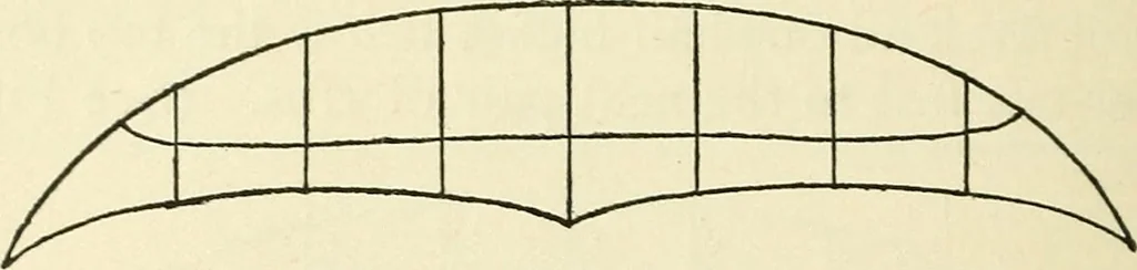 An illustration from For playground, field, and forest; the outdoor handy book, 1900, leaf 103