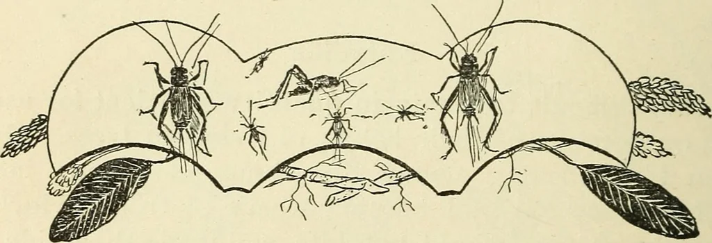 An illustration from For playground, field, and forest; the outdoor handy book, 1900, leaf 145