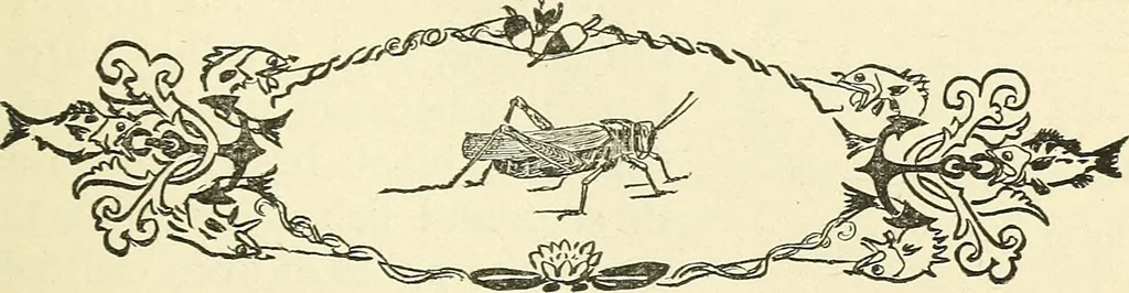 An illustration from For playground, field, and forest; the outdoor handy book, 1900, leaf 146