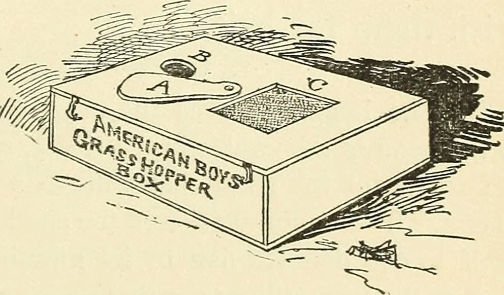 An illustration from For playground, field, and forest; the outdoor handy book, 1900, leaf 146
