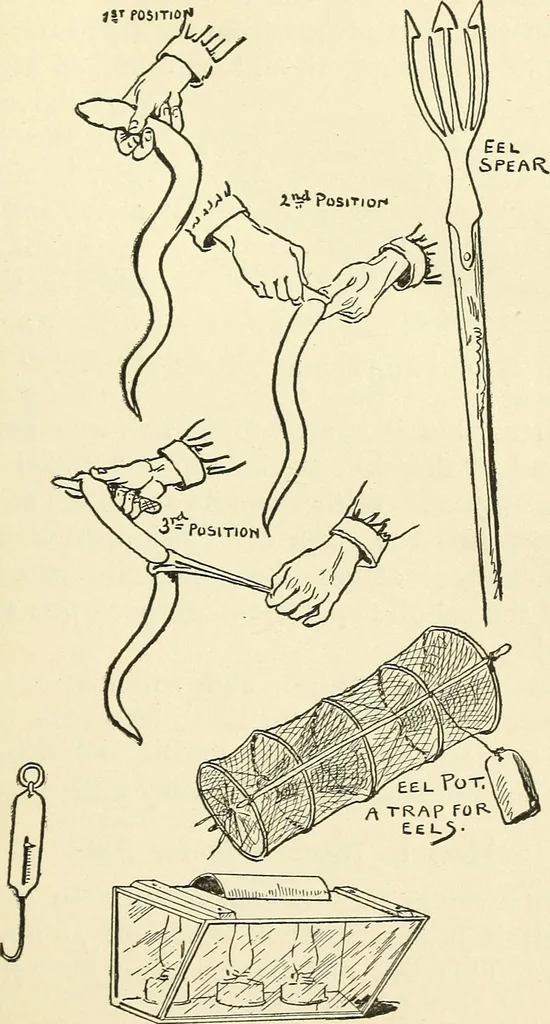An illustration from For playground, field, and forest; the outdoor handy book, 1900, leaf 160