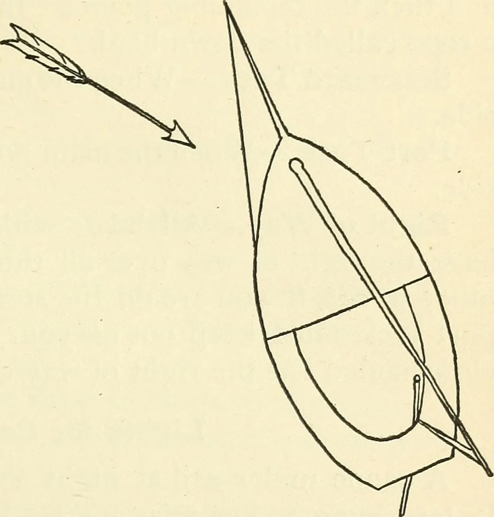 An illustration from For playground, field, and forest; the outdoor handy book, 1900, leaf 192
