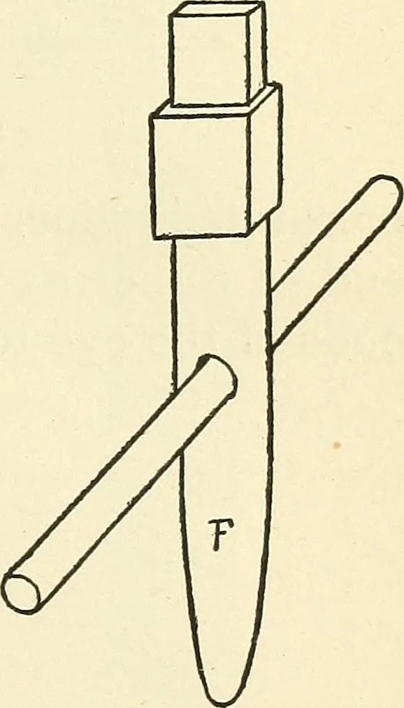 An illustration from For playground, field, and forest; the outdoor handy book, 1900, leaf 234