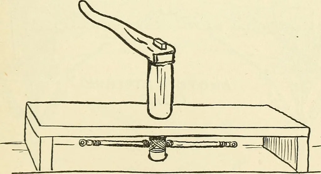 An illustration from For playground, field, and forest; the outdoor handy book, 1900, leaf 234