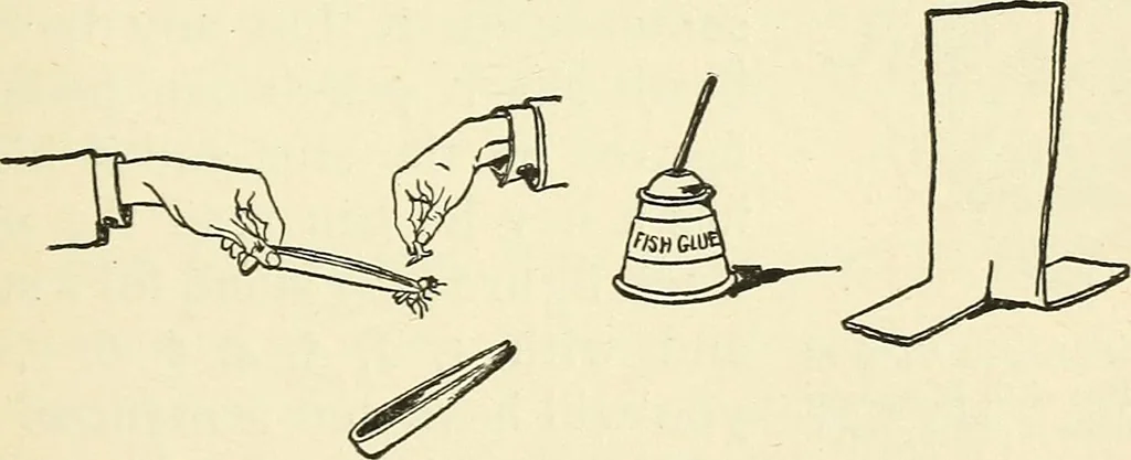 An illustration from For playground, field, and forest; the outdoor handy book, 1900, leaf 262
