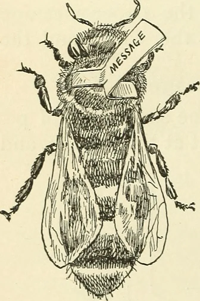 An illustration from For playground, field, and forest; the outdoor handy book, 1900, leaf 263
