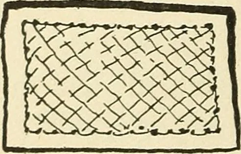 An illustration from For playground, field, and forest; the outdoor handy book, 1900, leaf 29