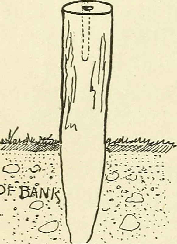 An illustration from For playground, field, and forest; the outdoor handy book, 1900, leaf 293
