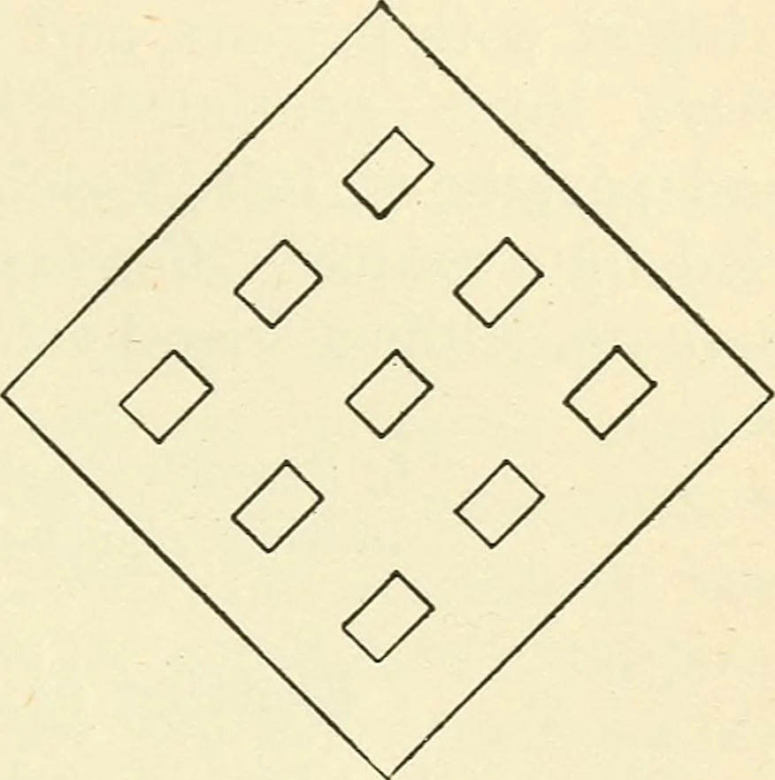 An illustration from For playground, field, and forest; the outdoor handy book, 1900, leaf 356