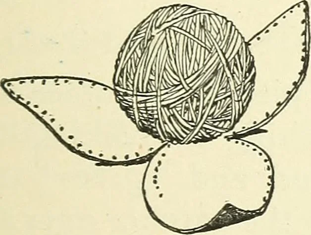 An illustration from For playground, field, and forest; the outdoor handy book, 1900, leaf 364