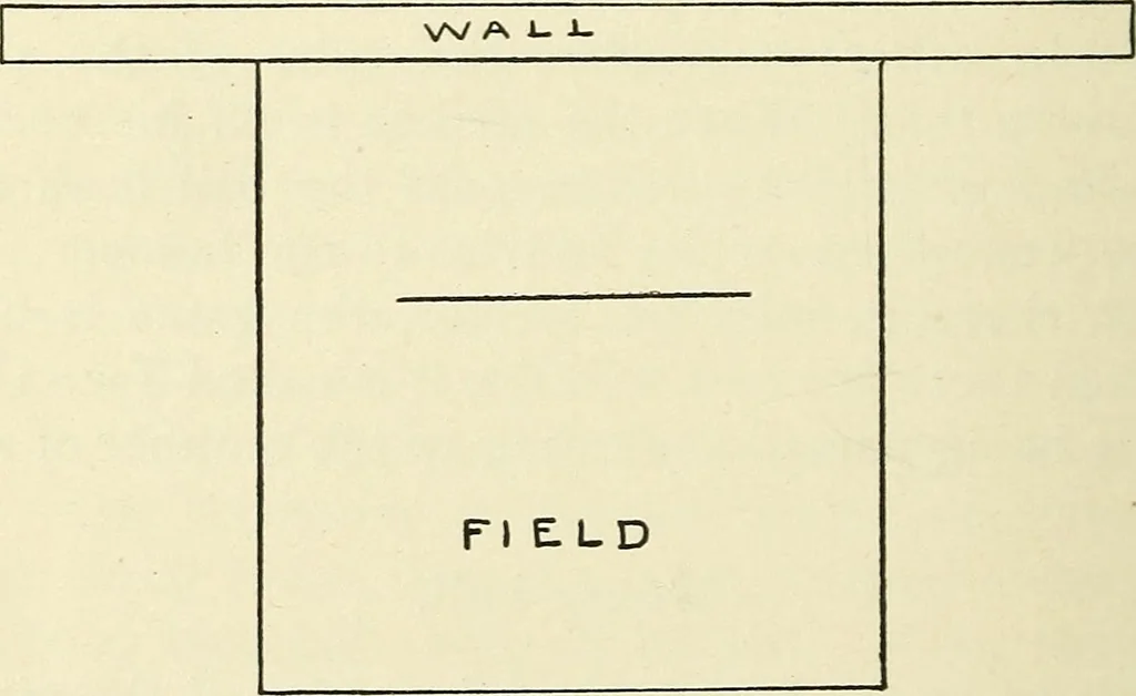 An illustration from For playground, field, and forest; the outdoor handy book, 1900, leaf 369