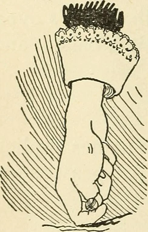 An illustration from For playground, field, and forest; the outdoor handy book, 1900, leaf 37