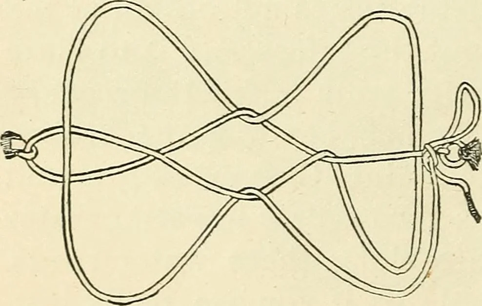 An illustration from For playground, field, and forest; the outdoor handy book, 1900, leaf 411