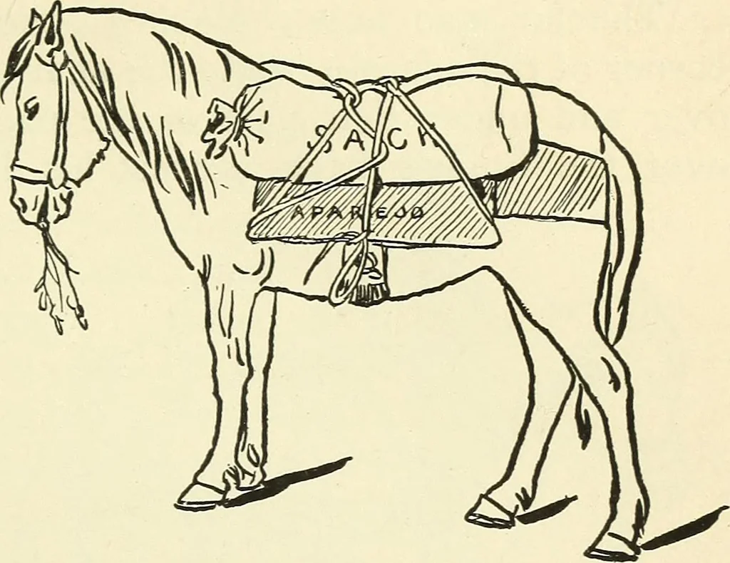 An illustration from For playground, field, and forest; the outdoor handy book, 1900, leaf 414