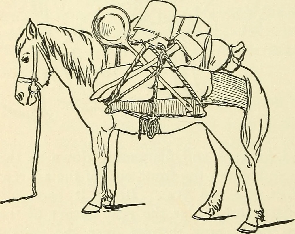 An illustration from For playground, field, and forest; the outdoor handy book, 1900, leaf 415