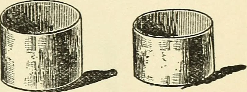 An illustration from For playground, field, and forest; the outdoor handy book, 1900, leaf 472