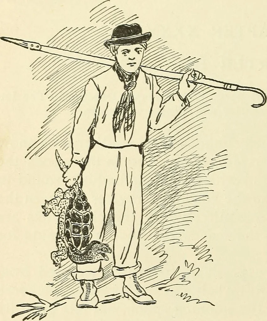 An illustration from For playground, field, and forest; the outdoor handy book, 1900, leaf 483