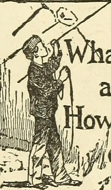 An illustration from For playground, field, and forest; the outdoor handy book, 1900, leaf 526