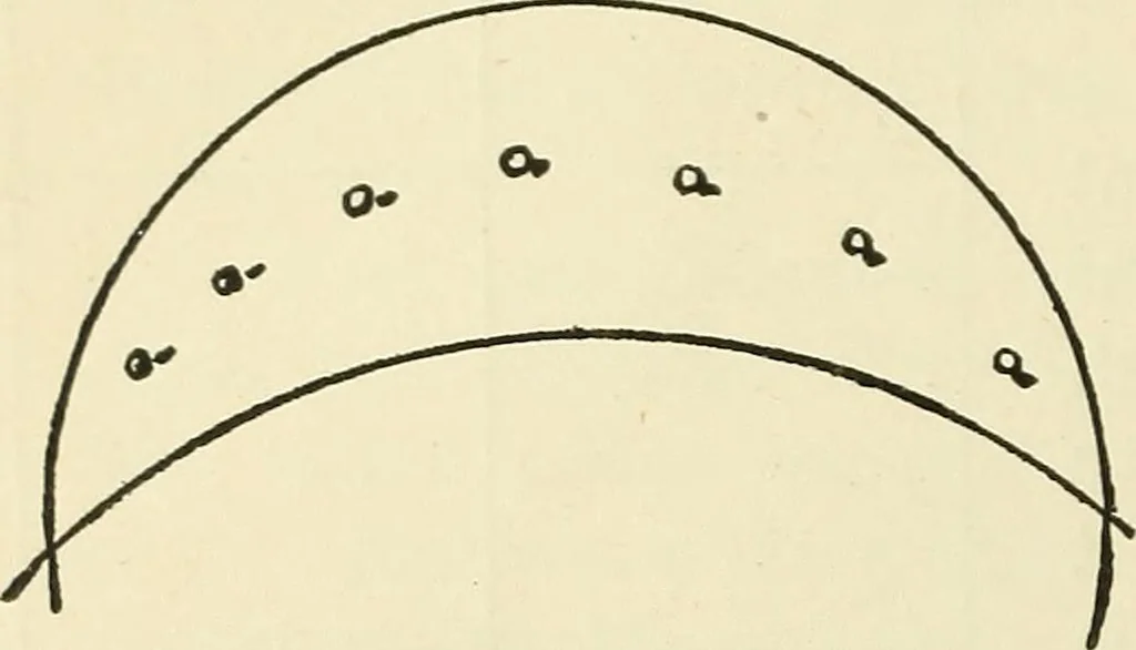 An illustration from For playground, field, and forest; the outdoor handy book, 1900, leaf 57