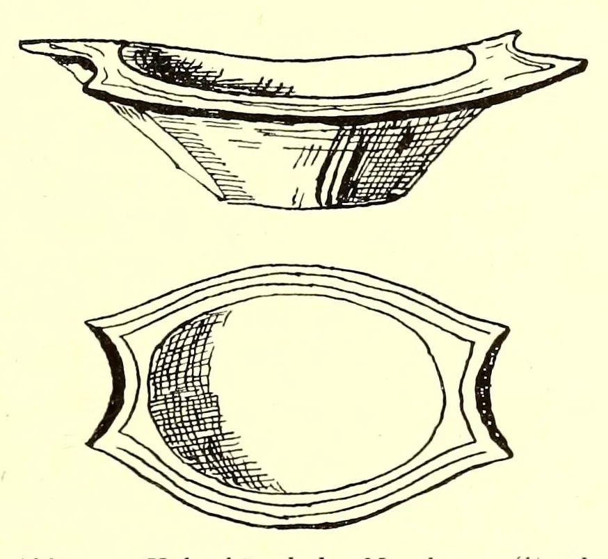 An illustration from Forschungen im Nil-Kongo-Zwischengebiet, 1911, leaf 171