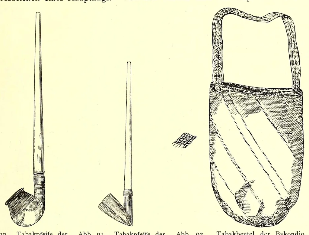 An illustration from Forschungen im Nil-Kongo-Zwischengebiet, 1911, leaf 395