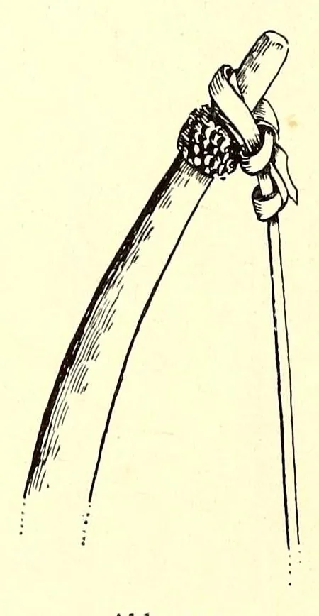 An illustration from Forschungen im Nil-Kongo-Zwischengebiet, 1911, leaf 400