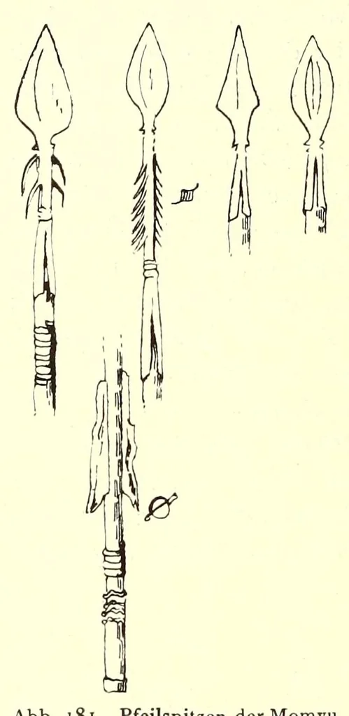 An illustration from Forschungen im Nil-Kongo-Zwischengebiet, 1911, leaf 452
