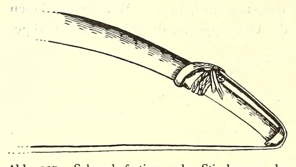 An illustration from Forschungen im Nil-Kongo-Zwischengebiet, 1911, leaf 476