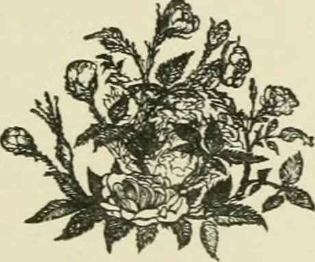 An illustration from Fors clavigera : letters to the workmen and labourers of Great Britain, 1896, leaf 7