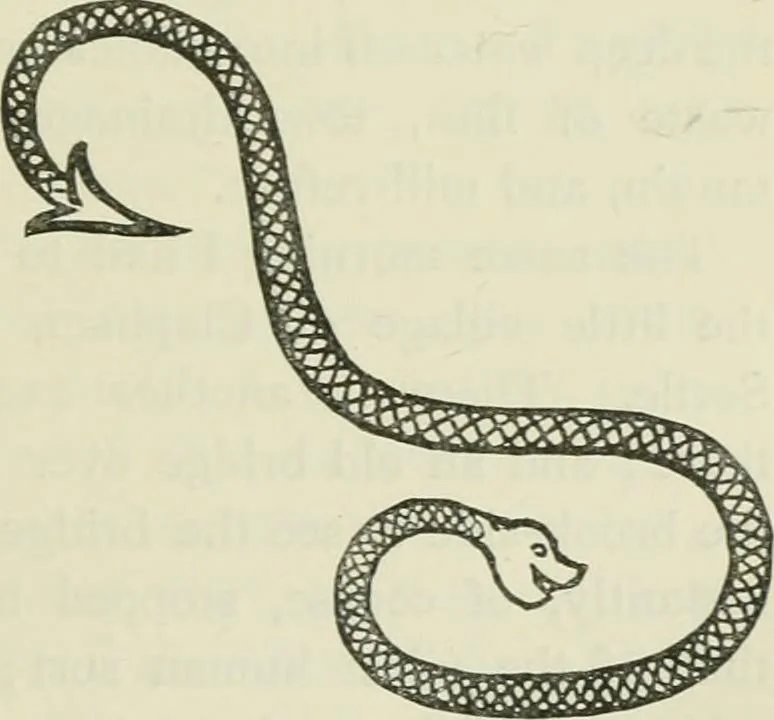 An illustration from Fors clavigera : letters to the workmen and labourers of Great Britain, 1896, leaf 73