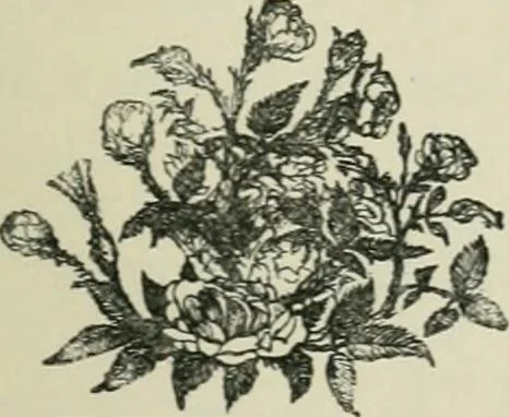 An illustration from Fors clavigera : letters to the workmen and labourers of Great Britain, 1896, leaf 5