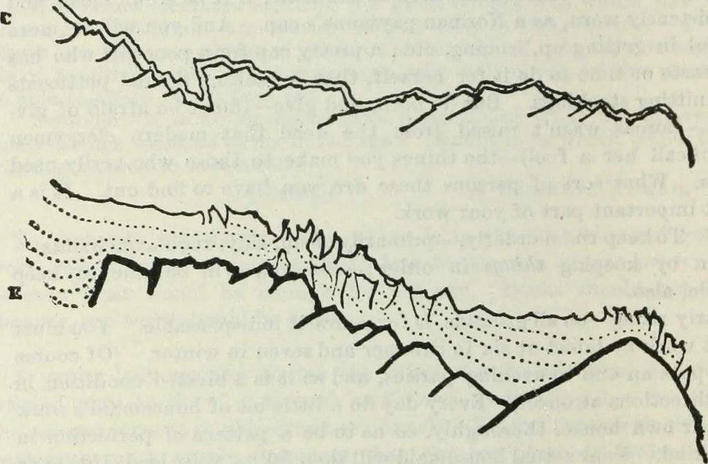 An illustration from Fors clavigera. Letters to the workmen and labourers of Great Britain, 1900, leaf 537