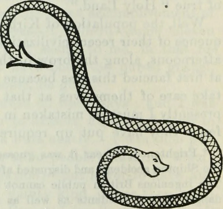 An illustration from Fors clavigera. Letters to the workmen and labourers of Great Britain, 1900, leaf 819