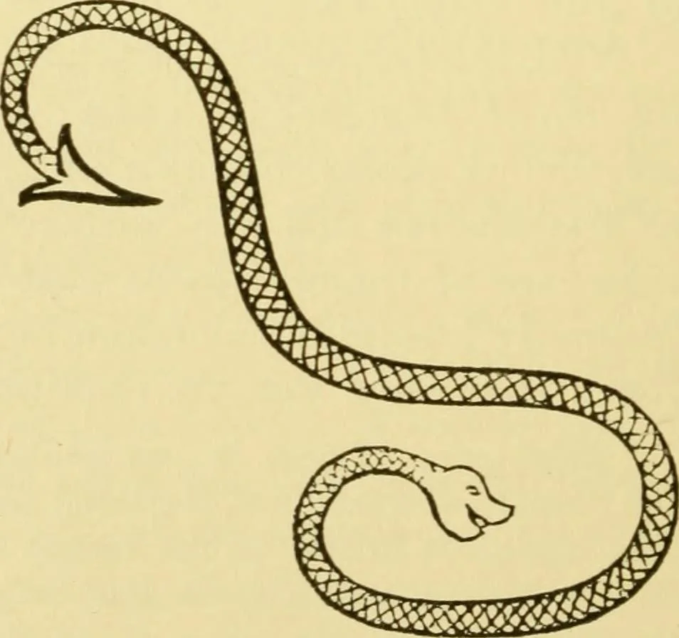 An illustration from Fors clavigera : letters to the workmen and labourers of Great Britain, 1894, leaf 386