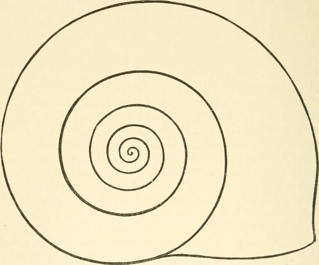 An illustration from Fors clavigera : letters to the workmen and labourers of Great Britain, 1894, leaf 139