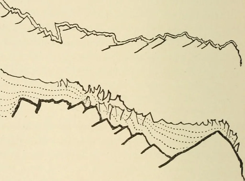 An illustration from Fors clavigera. Letters to the workmen and labourers of Great Britain, 1871, leaf 291