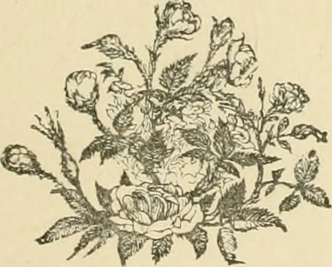 An illustration from Fors clavigera. Letters to the workmen and labourers of Great Britain, 1871, leaf 4