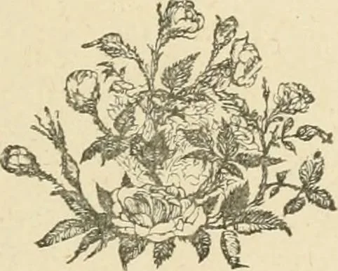 An illustration from Fors clavigera. Letters to the workmen and labourers of Great Britain, 1871, leaf 4
