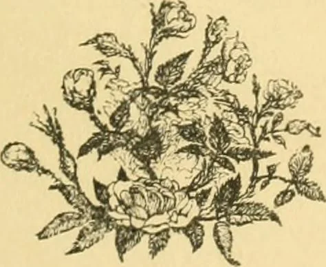 An illustration from Fors clavigera. Letters to the workmen and labourers of Great Britain, 1871, leaf 6
